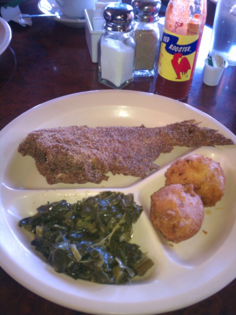 fried catfish plate picture fried catfish plate picture