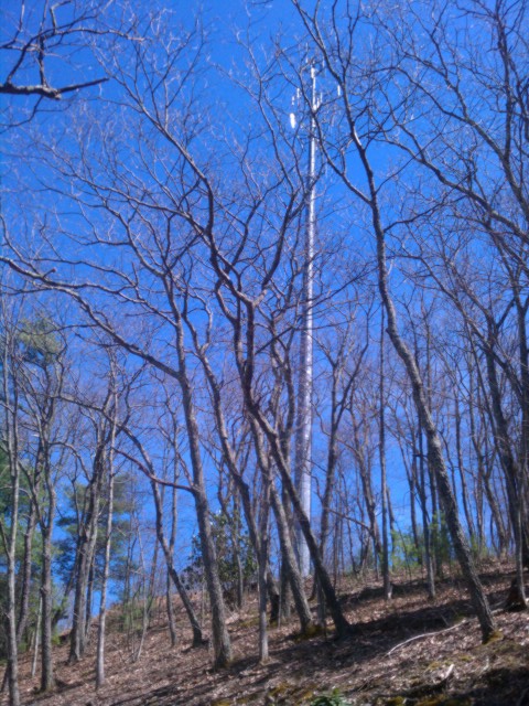 for anyone who attempted to follow this hike .. sorry there wasnt much sprint cell service along the way .. better luck next time for anyone who attempted to follow this hike .. sorry there wasnt much sprint cell service along the way .. better luck next time