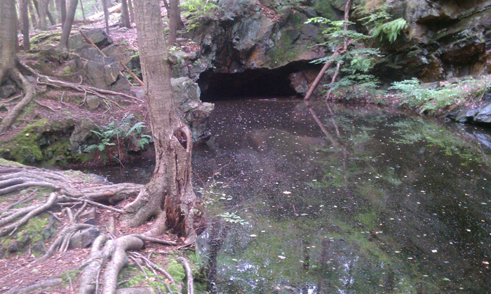 appalachian trail bear harriman parks 34