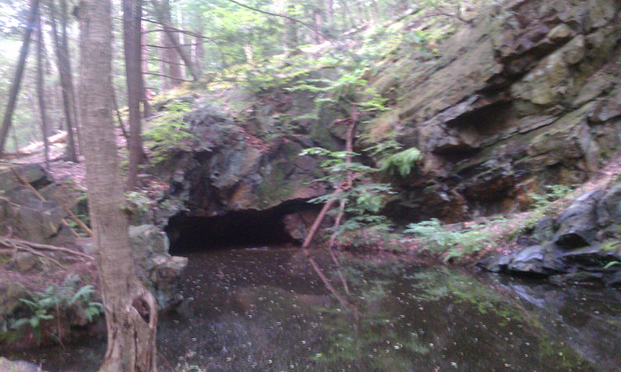 appalachian trail bear harriman parks 36