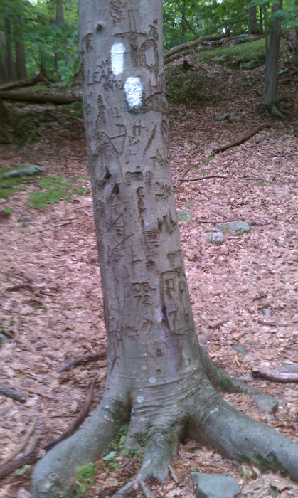 appalachian trail bear harriman parks 45