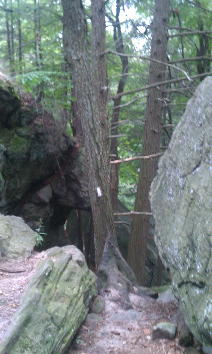 appalachian trail bear harriman parks 51