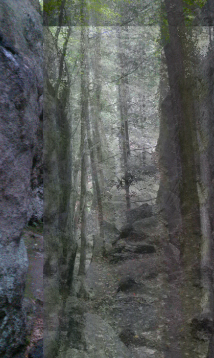 appalachian trail bear harriman parks 56