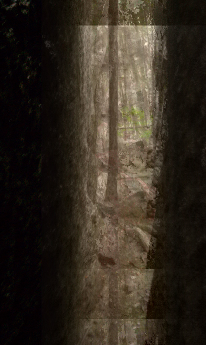 appalachian trail bear harriman parks 58