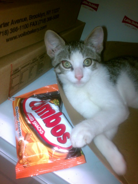 combos kitty