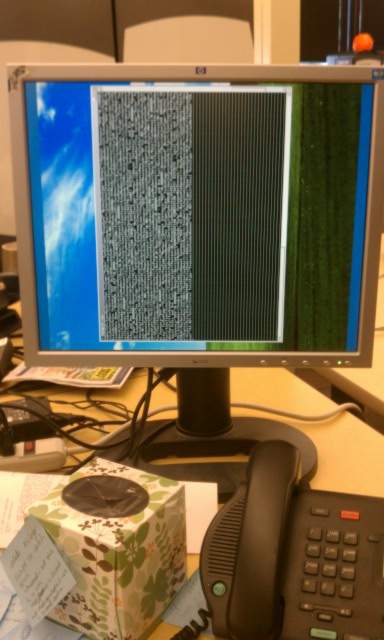 monitor of coworker from india who goes by the name doctor s