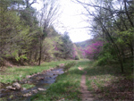Collection of microblog points about hiking the Appalachian Trail in Virginia for a month in early spring