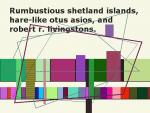 Rumbustious shetland islands, hare-like otus asios, and robert r. livingstons.