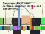Biogeographical nasal canthus, propeller planes, and annulments.