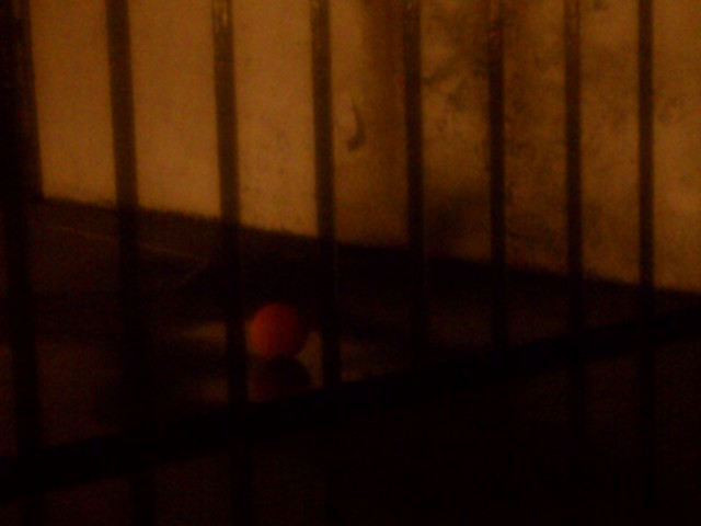red ball 15