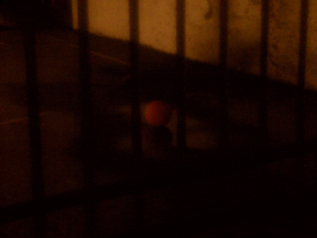 the red ball the red ball
