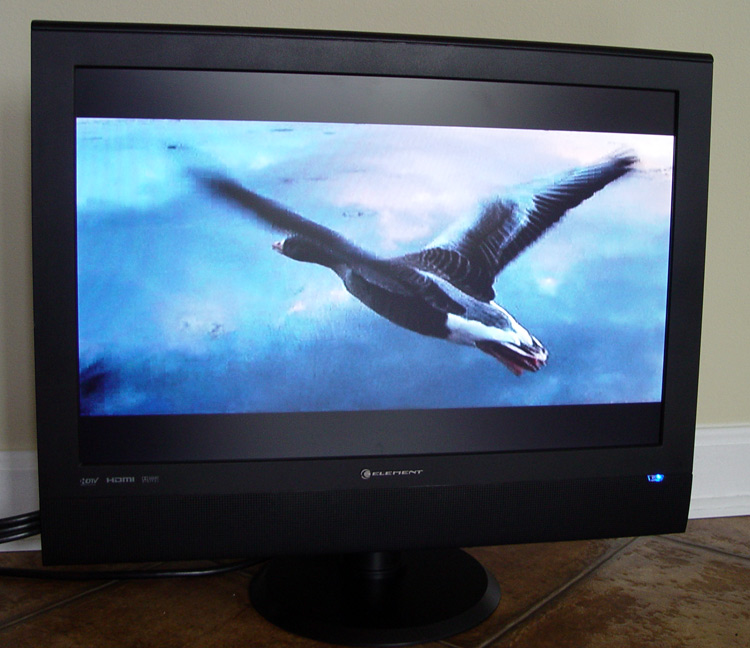 TV with FLYING GOOSE for sale, buy it now!