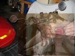 Album of digital photograph faves via searching on the web algorithmically.